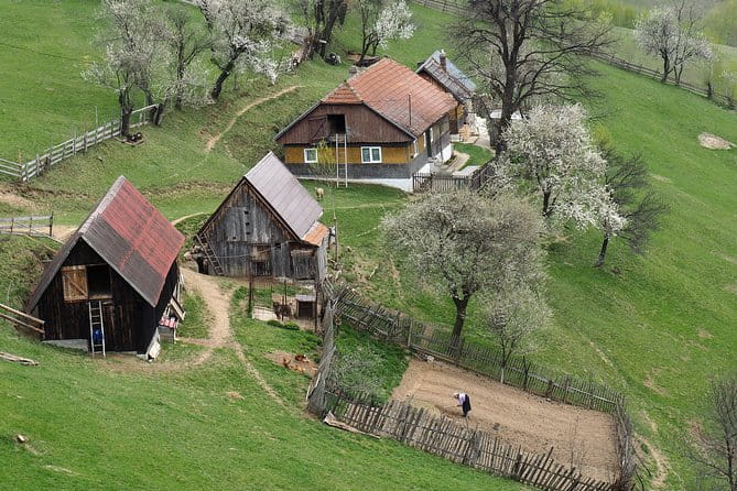 Village life in Transylvanian Carpathian mountains - 8 days - A Detailed Look at the Journey Through Transylvania