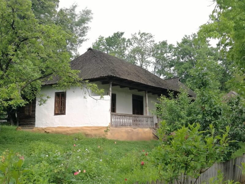 Village Museum Bucharest Guided Tour - Key points / Takeaways