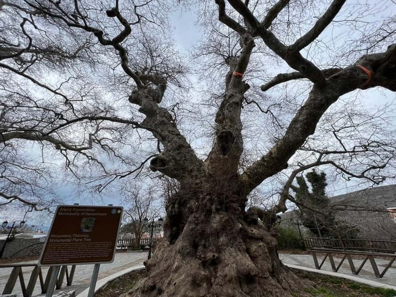 Village Vibes Tour of Heraklion Mainland and Lasithi Plateau - The Sum Up: Worth It for Authentic Cretan Experiences