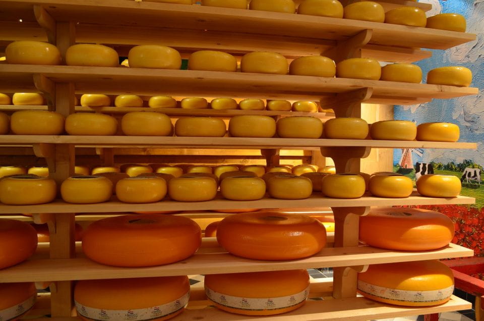 Villages & Windmills Zaanse Schans Small Group Tour - Transportation and Logistics