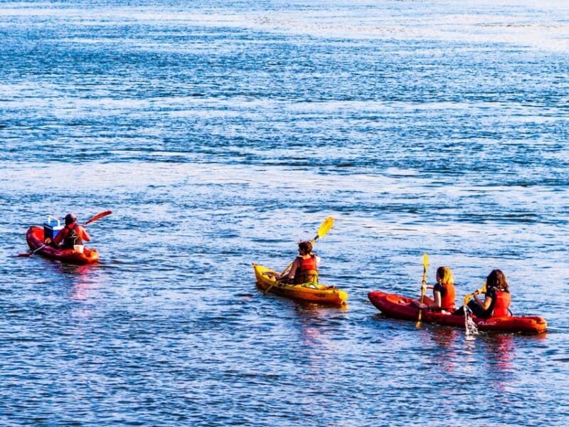 Villajoyosa: Excursión guiada en kayak con snorkel - Key points / Takeaways