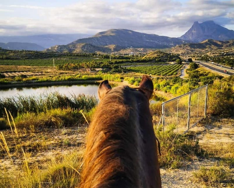 Villajoyosa: Horseback Riding in the Mountains - Discovering Villajoyosa’s Mountain Trails