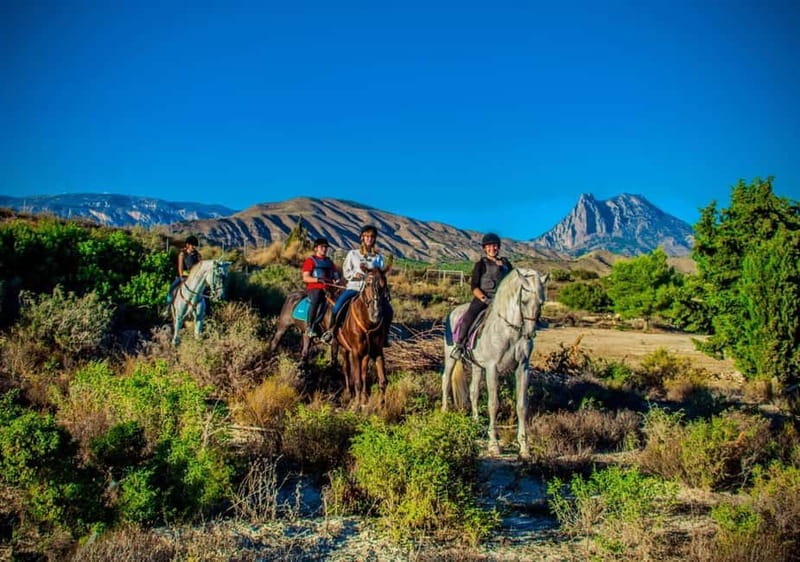 Villajoyosa: Horseback Riding in the Mountains - Logistics and Practical Tips