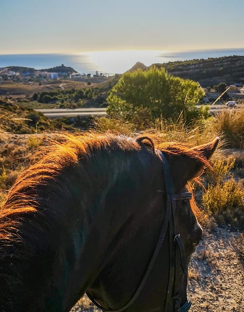 Villajoyosa Horseback Riding in the Mountains with sea views - FAQ