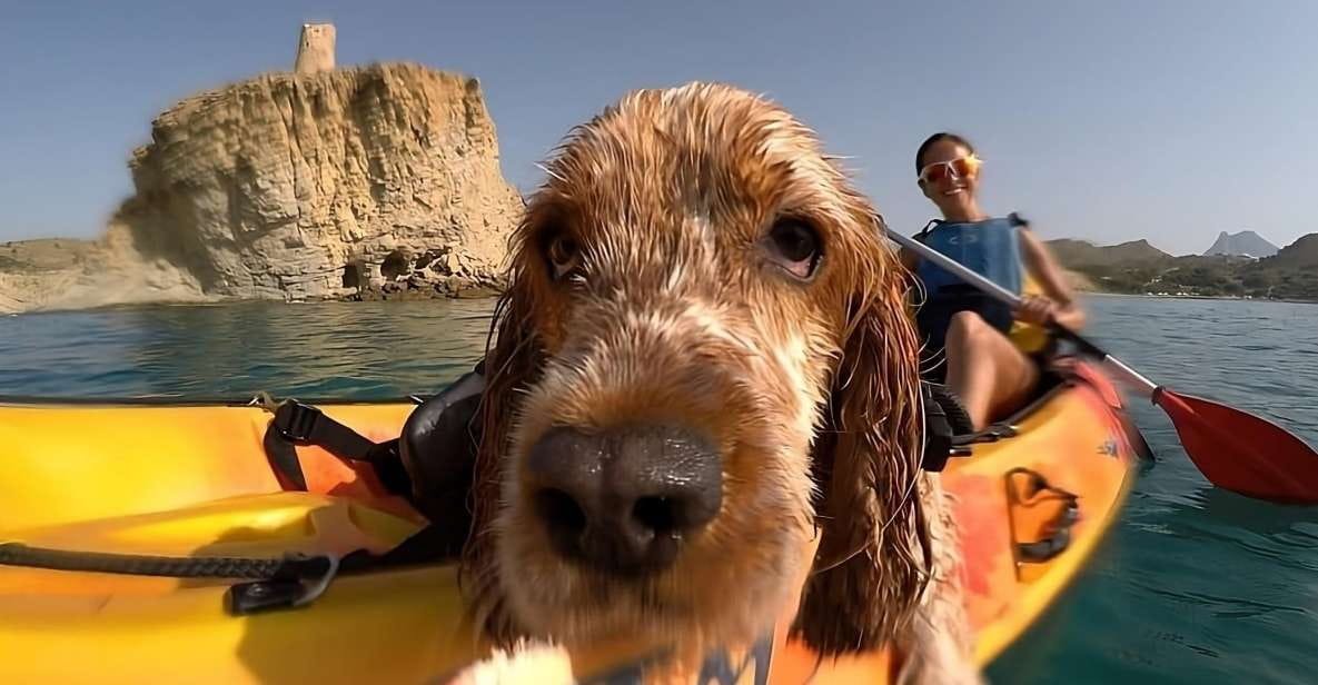Villajoyosa: Kayaking With the Mans Best Friend, Your Dog - Highlights of the Experience