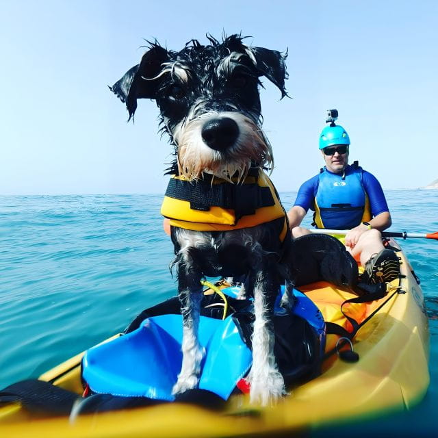 Villajoyosa: Kayaking With the Mans Best Friend, Your Dog - Booking and Cancellation Policies
