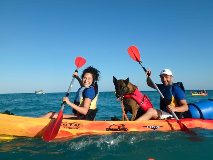 Villajoyosa: Kayaking With the Mans Best Friend, Your Dog - Things To Know