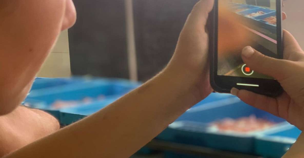 Villajoyosa: Seafood Route and Fish Auction. - Key Points