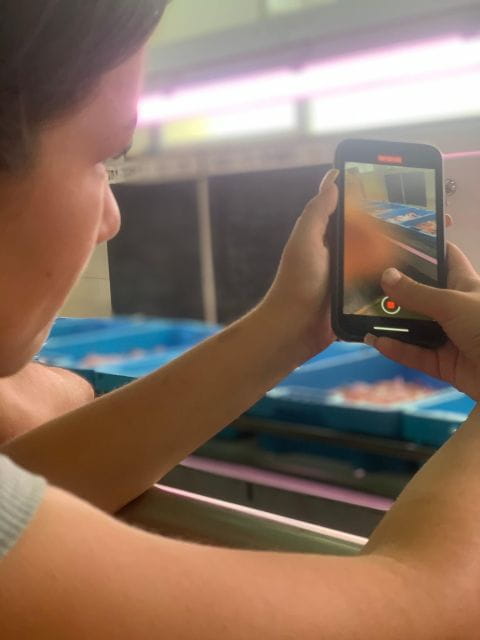 Villajoyosa: Seafood Route and Fish Auction. - Tips for Enjoying Your Visit