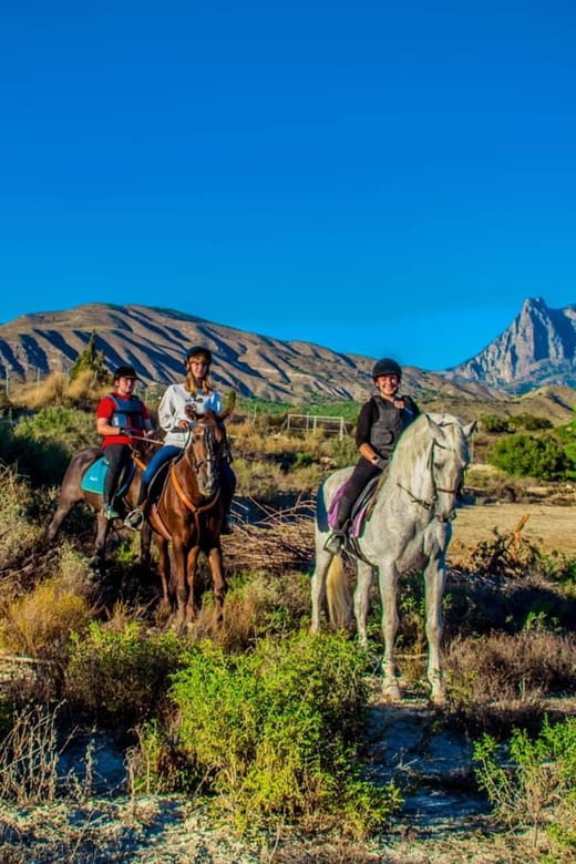 Villajoyosa:2-hour Horseback Riding Tour - Why This Ride Is Perfect for the Right Traveler