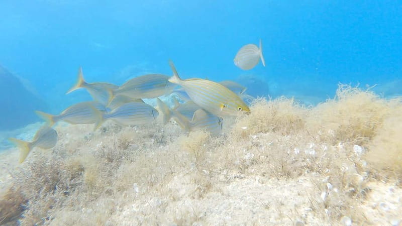 Villasimius: Capo Carbonara First Time Dive with Instructor - Easy Arrival and Meeting Point