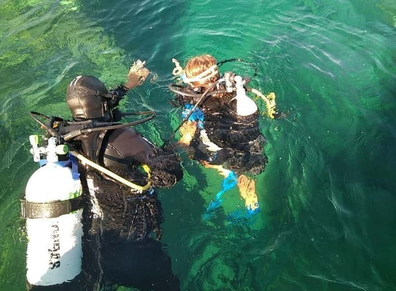 Villasimius: Capo Carbonara First Time Dive with Instructor - Underwater Highlights and Wildlife