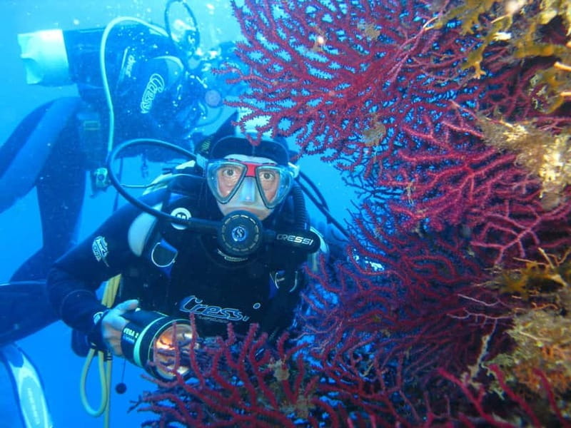 Villasimius: Capo Carbonara Marvellous Guided Dive - The Unique Marine Landscape of Cavoli and Serpentara Islands