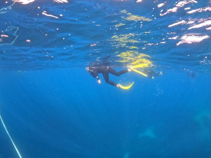 Villasimius: Snorkeling Tour in Capo Carbonara - Exploring the Itinerary: What You Can Expect