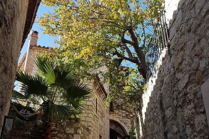 Villefranche Shore Excursion: 6 hrs Private Tour Eze and Monaco - A Closer Look at the 6-Hour Private Tour