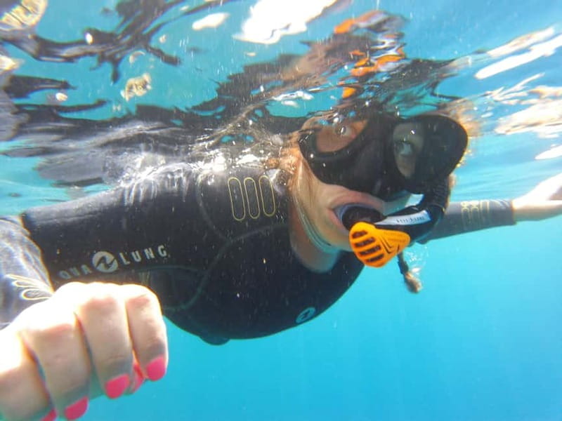 Villefranche-sur-Mer / Nice: snorkeling in privacy on a private boat - Snorkeling in the Rade de Villefranche: Underwater Treasures