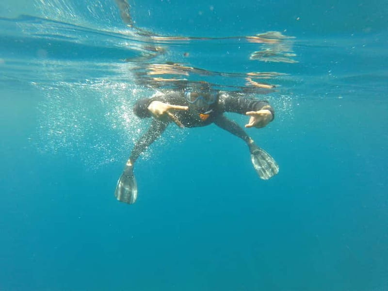 Villefranche-sur-Mer / Nice: snorkeling in privacy on a private boat - Who Will Love This Experience?