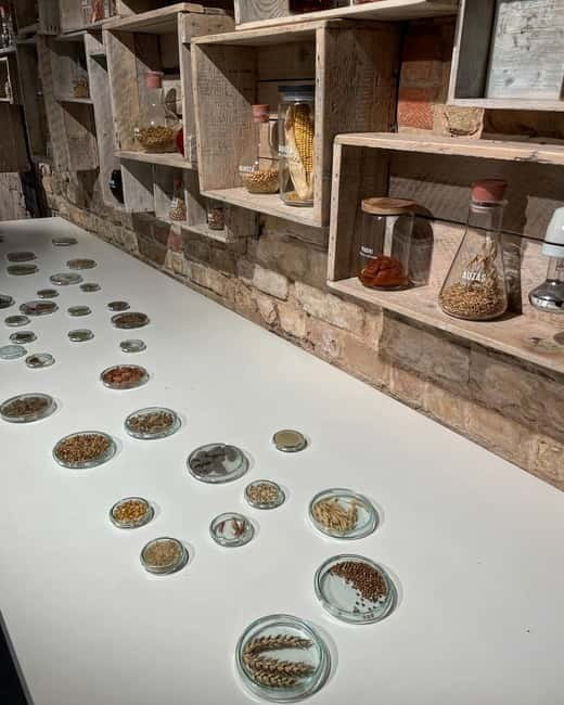 Vilnius: Beer Tasting Experience with Snack Platter - Price and Value