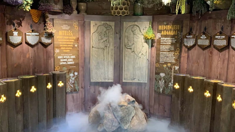 Vilnius to Aukstaitija National Park: Full-Day Tour - The Sum Up