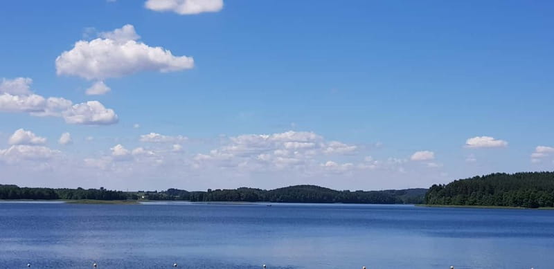 Vilnius: Trakai Castle Half-Day Tour by minivan - An Honest Look: Who Should Consider This Tour?