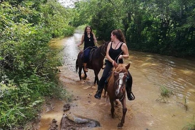 Viñales Horse Tour - Key Points