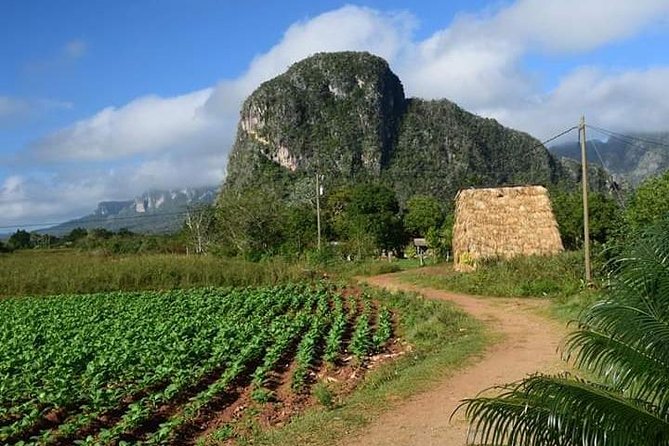 Viñales Horse Tour - Meeting and Pickup