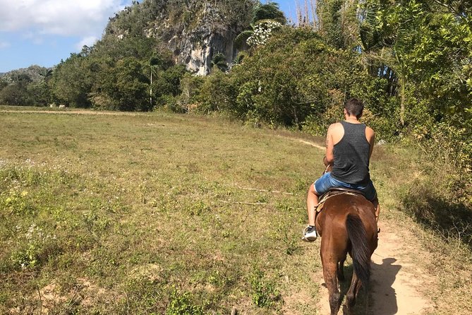 Viñales Horse Tour - Expectations and Restrictions
