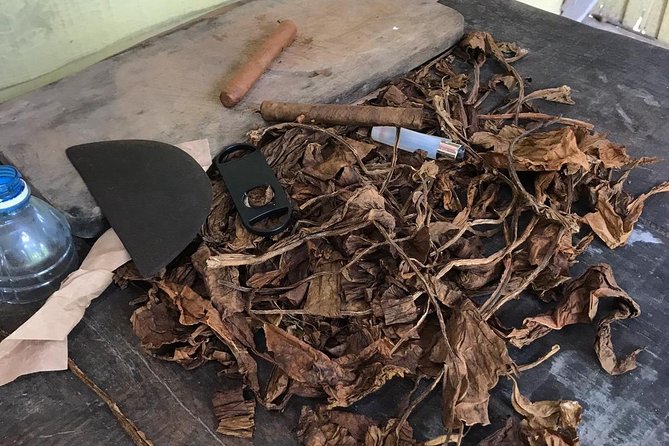 Viñales Horse Tour - Customer Reviews