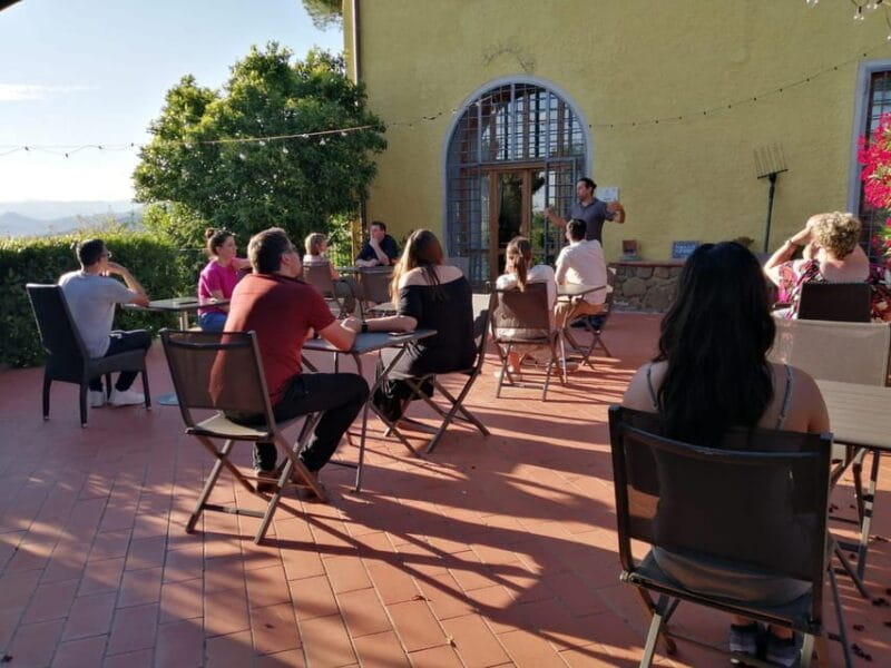 Vinci: Homemade Dinner and Oil Tasting Tour in a Tuscan Farm - Key Points / Takeaways