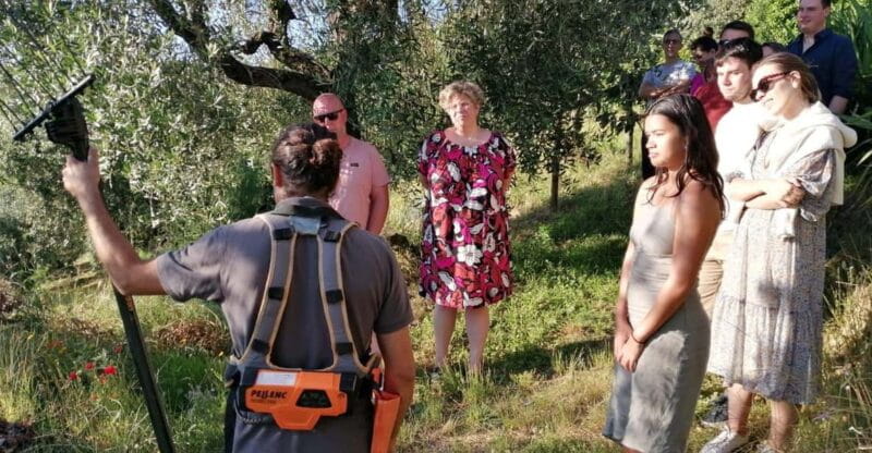 Vinci: Homemade Dinner and Oil Tasting Tour in a Tuscan Farm - Entering Tuscany’s Olive Groves and Learning About Oil