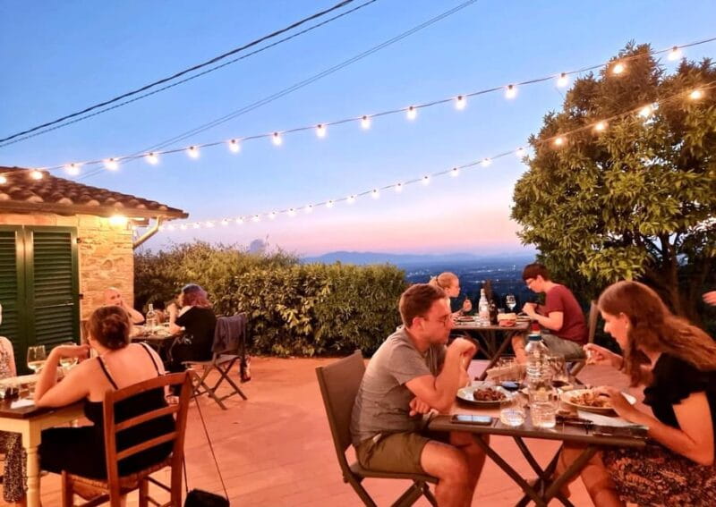 Vinci: Homemade Dinner and Oil Tasting Tour in a Tuscan Farm - The Olive Oil Tasting: Nuances and Flavors