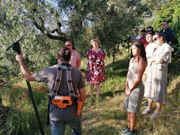 Vinci: Homemade Dinner and Oil Tasting Tour in a Tuscan Farm - Practicalities, Logistics, and Value