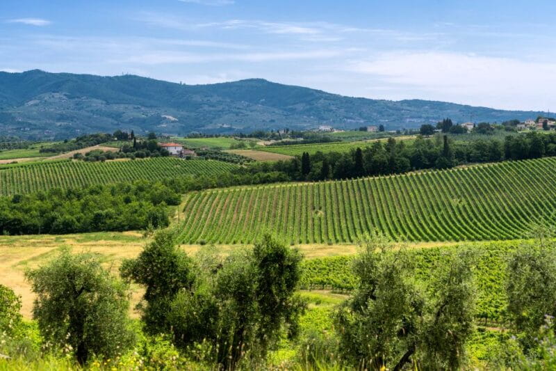 Vinci: The Footsteps of Leonardo and Wine Tasting Tour - Price and Value Considerations