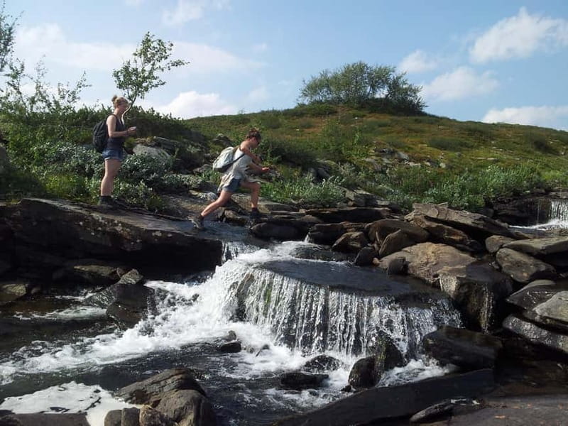 Vindelfjäll nature reserve: A walk through reindeer country - Discovering Sweden’s Untouched Wilderness: A Walk Through Vindelfjäll Nature Reserve
