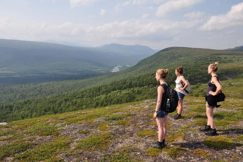 Vindelfjäll nature reserve: A walk through reindeer country - Key points / Takeaways