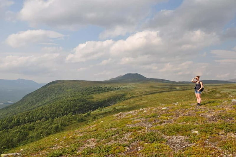 Vindelfjäll nature reserve: A walk through reindeer country - Transitioning from Forest to Highlands