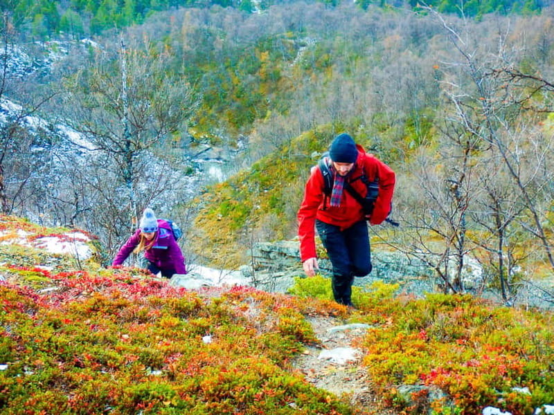 Vindelfjäll nature reserve: A walk through reindeer country - What Makes This Hike Special?