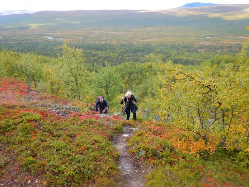 Vindelfjäll nature reserve: A walk through reindeer country - Value and Overall Impression