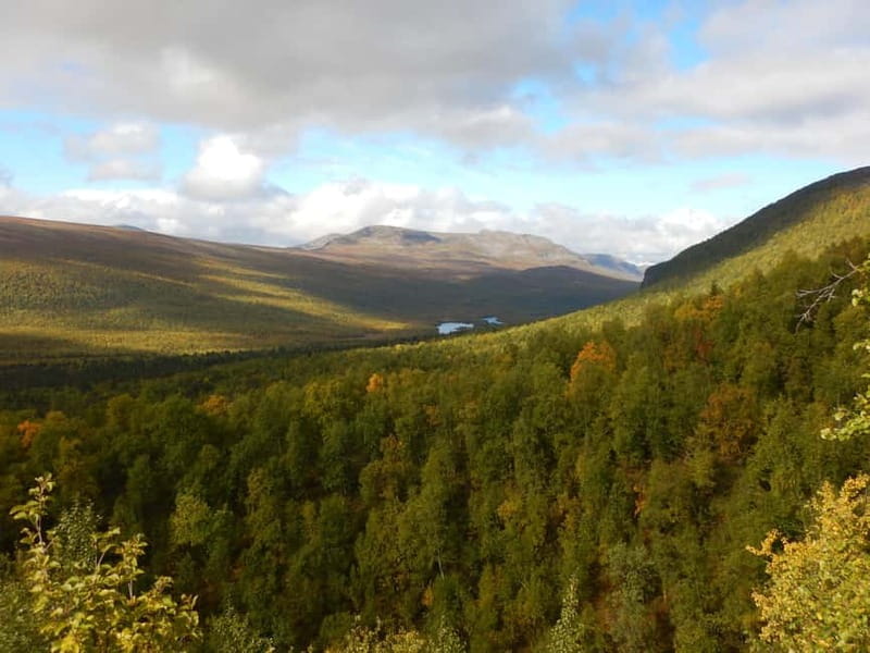 Vindelfjäll nature reserve: A walk through reindeer country - FAQ
