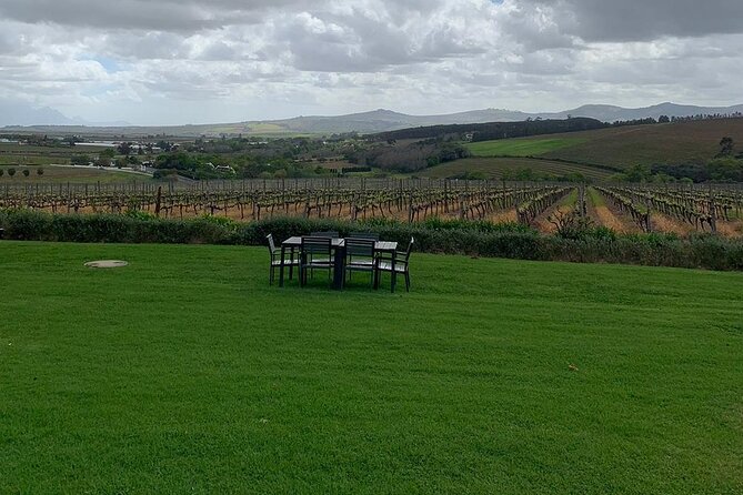 Vine Hopper: Hop-On Hop-Off Wine Tour - Southern Route - Winery Tastings