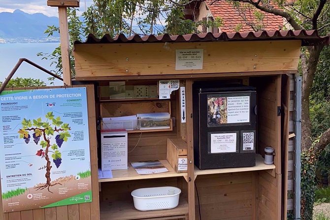 Vine Stories: Lavaux & Lutry Wine Walk - Exploring the Vineyard Terraces