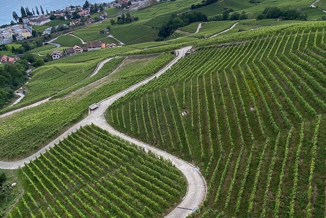 Vine Stories: Lavaux & Lutry Wine Walk - Delightful Charcuterie Platter