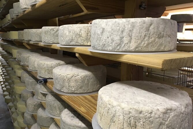 Vineyard & Cheesemaker Bus Tour of Sussex - An In-Depth Look at the Tour Itinerary