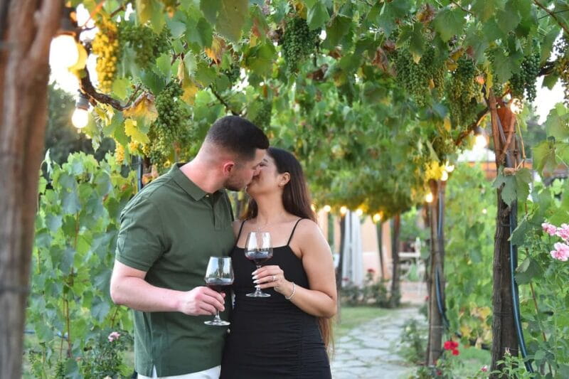 Vineyard Escape, Walk, Lunch and Wine Tasting - Key Points / Takeaways