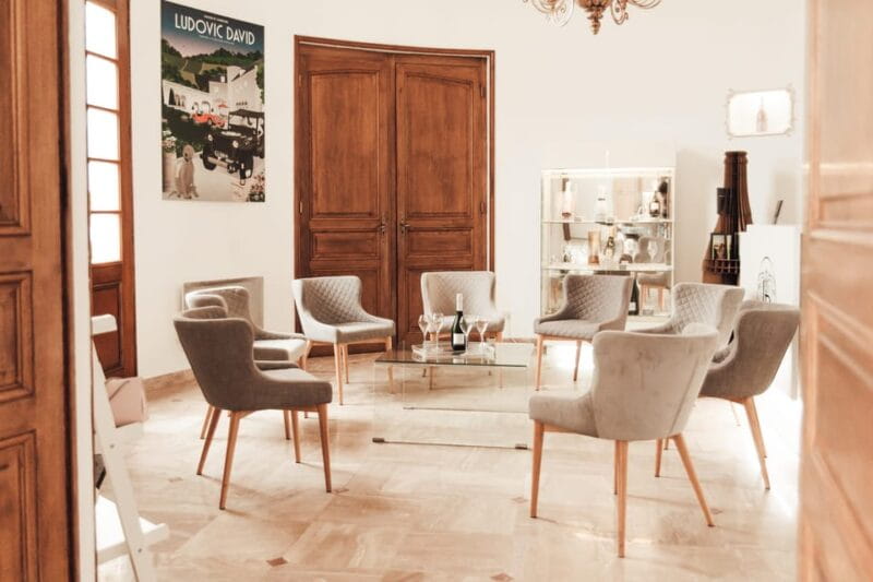 Vineyard tour and Tasting with Champagne Ludovic David - Price, Duration, and Value