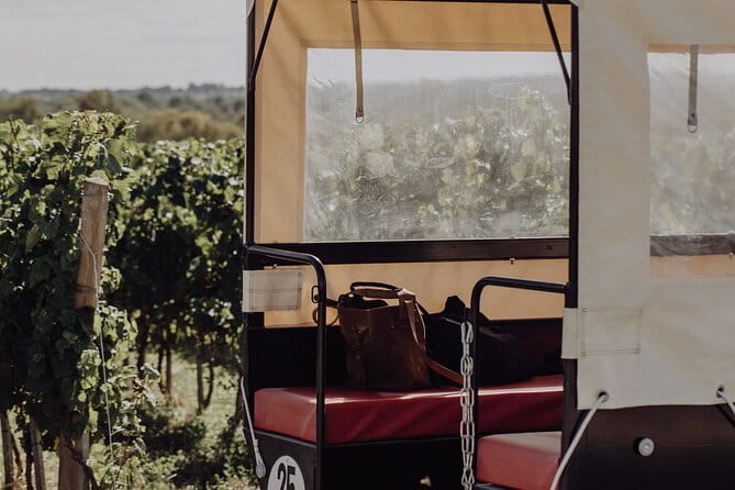 Vineyard tour and wine tasting in Davron - Who Will Love This Tour?