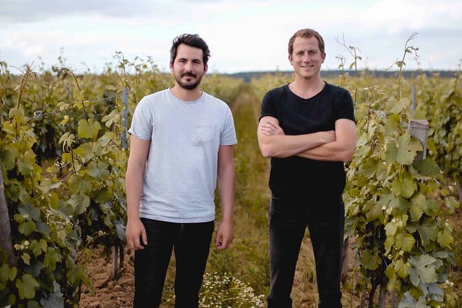 Vineyard tour and wine tasting in Davron - Final Thoughts