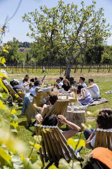 Vineyard Tour and Winery Visit with Tasting of Wines of Romagna - Key Points / Takeaways