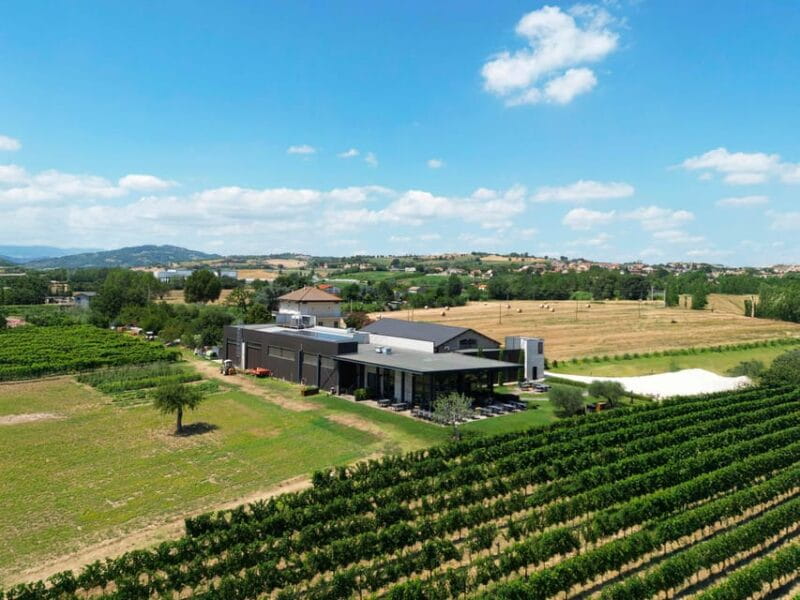 Vineyard Tour and Winery Visit with Tasting of Wines of Romagna - Who Will Love This Experience?