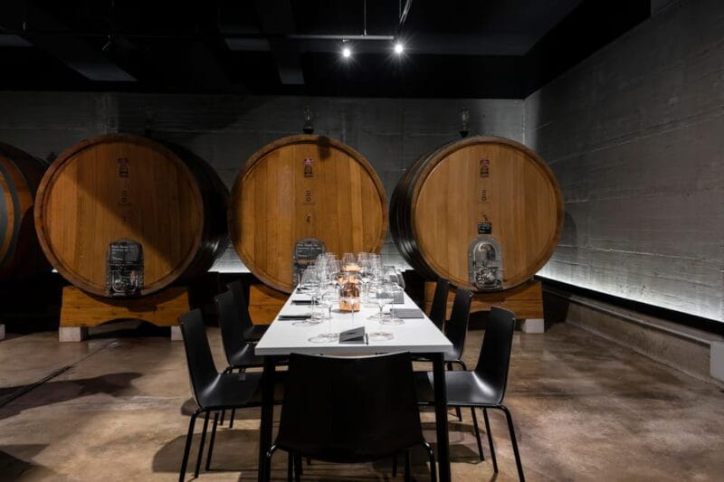 Vineyard Tour and Winery Visit with Tasting of Wines of Romagna - The Sum Up